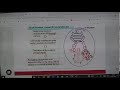 Biological classification L-10 | 19-05-26 | AMAN SIR | Biology 11th B1 NEET | VSA