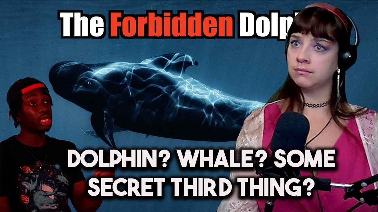 *I mean, he's not wrong* Why You (Probably) Have No Idea What a Whale Is-Casual Geographic