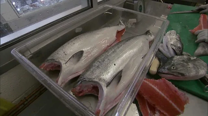 Meet Laura Anderson, Owner of a Sustainable Seafoo...
