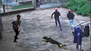 أغرب سرقات صورتها كاميرات المراقبة!! لصوص دفعوا الثمن غاليا