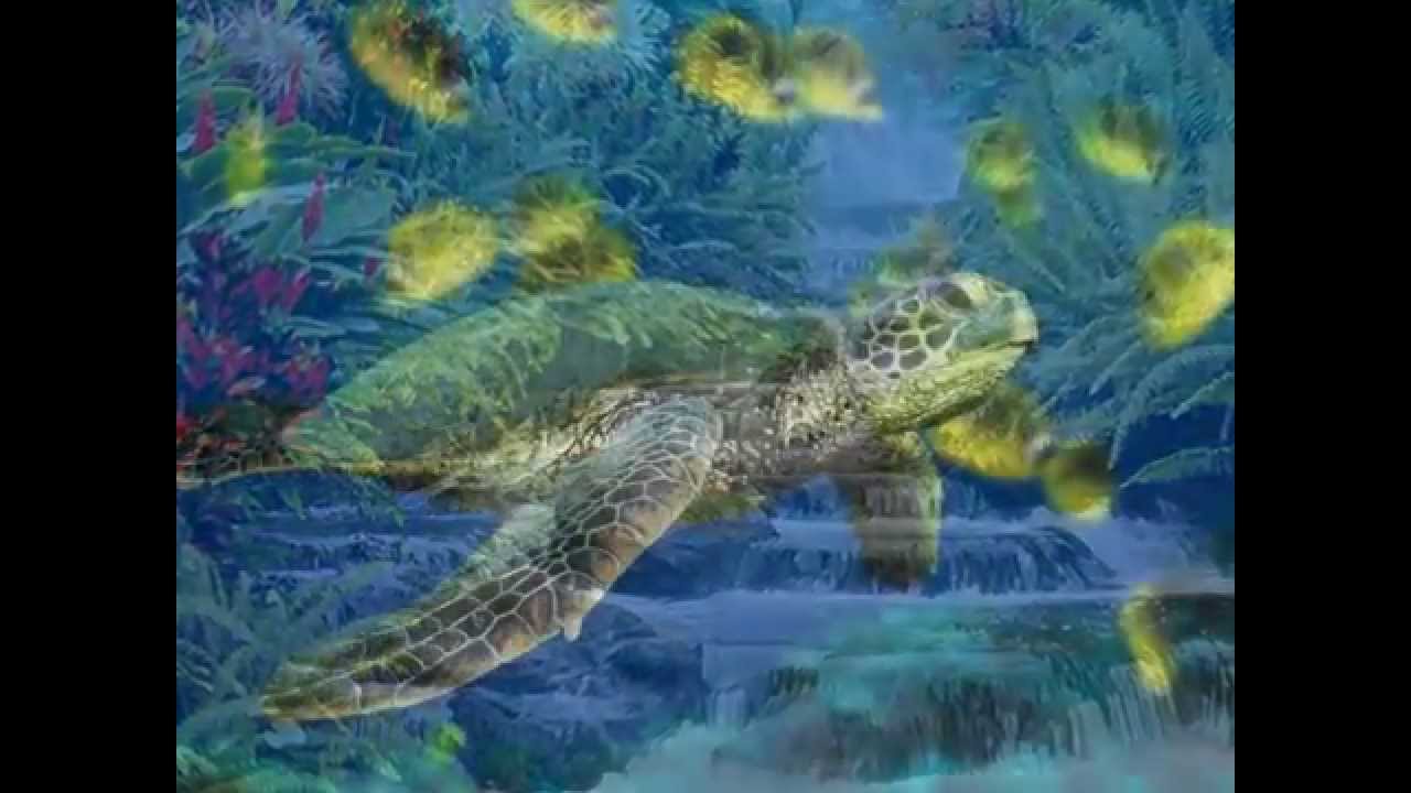 My Slideshow calming pictures xoxoxoxox - YouTube