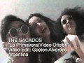 THE SACADOS  La Primavera(Video Oficial)