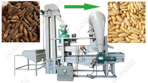 Afghanistan, Pakistan Pine Nuts Shelling Processing Machine Cost