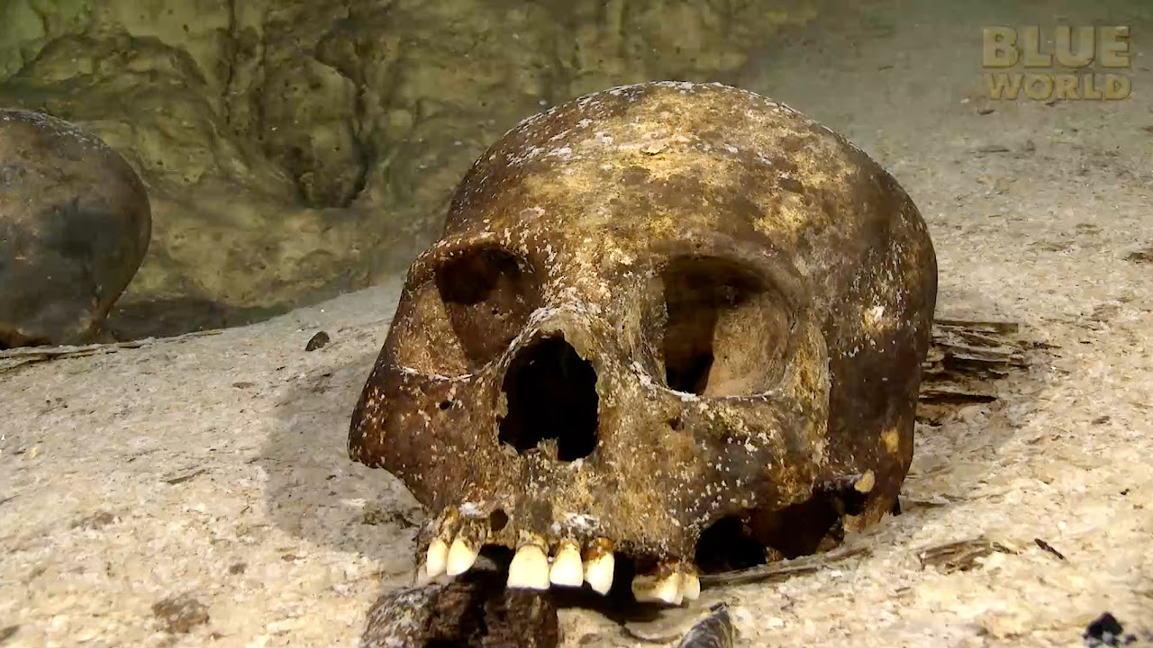 Cenotes Dive 4K - Mexikanische Unterwasserhöhlen - Unglaubliche Unterwasserwelt - 3 STUNDEN