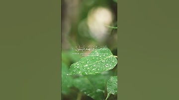 سورة الزمر 🍃 #اكسبلور #القرآن_الكريم #لايك #حالات_واتس