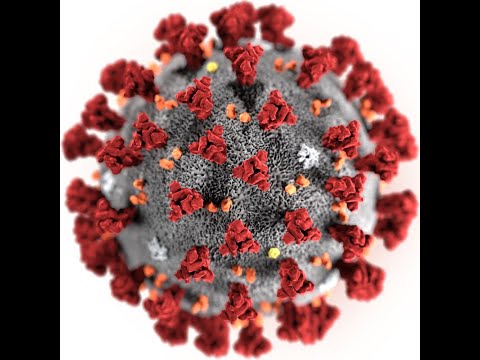 coronavirus and Islamic point of view, (سائنسی نقطہ مکمل معلومات) information with scientific angle coronavirus and Islamic point of view, (سائنسی نقطہ مکمل معلومات) information with scientific angle