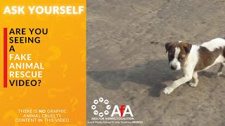 ASK YOURSELF - is it a fake rescue video?
