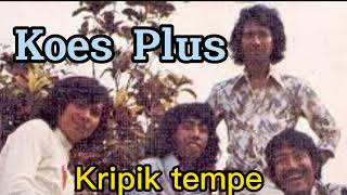 Kripik tempe #koesplus