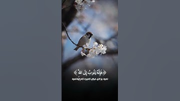 وَكانَ اللَّهُ غَفُوراً رَحِيماً #راحة_نفسية #تلاوة_خاشعة #قران #اكسبلور #محمداللحيدان