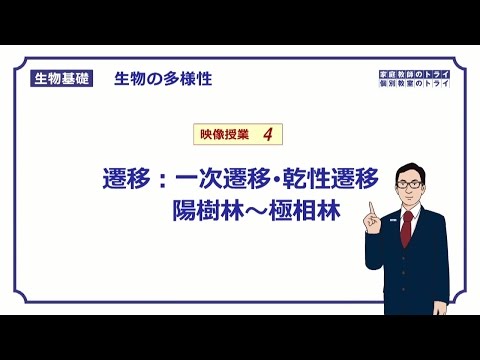 【生物基礎】　生物の多様性4　遷移：一次遷移・乾性遷移　陽樹林～極相林　（１１分）