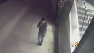 Attempted Rape Suspect Sought Wealth