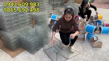 🔥🐀🐭LỒNG CHUỘT ĐƯỜNG MÒN , CỐNG NHUM , SÓC ĐẤT , LỒNG BẪY CẦY CÁO TẶNG LÒ XO CÓ BẢO HÀNH 🐹🐭