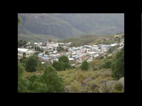 los sembradores de