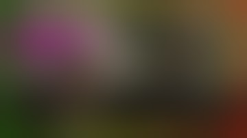 The Last Of Us Part 2 : Ellie and Dina arrived in SEATTLE "Fuck Fedra Gate"