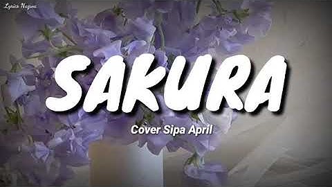 Sakura - Cover Sipa April (lirik)