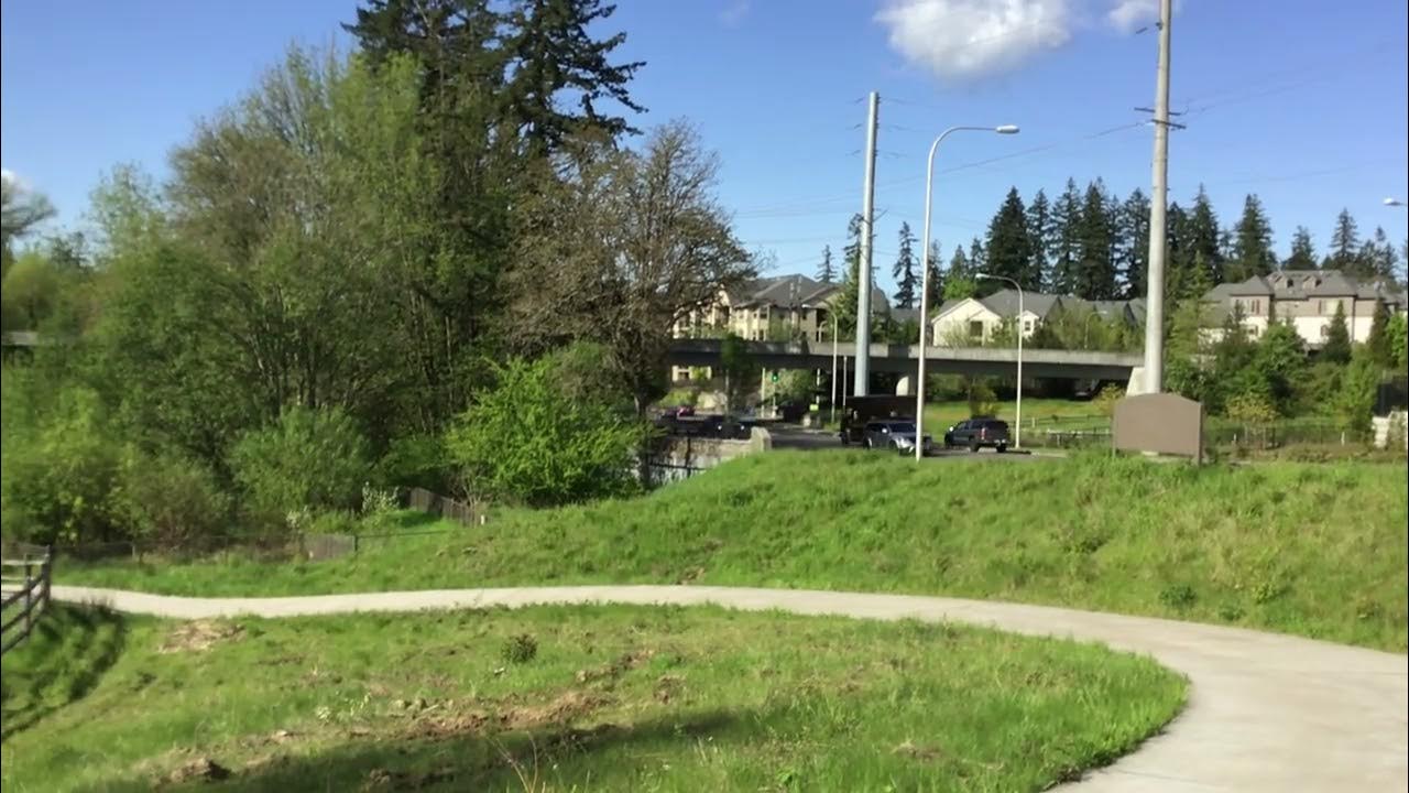 Eastbound MAX Grade Separated over Cornelius Pass YouTube