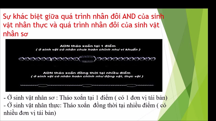 So sánh adn nhân sơ và nhân thực năm 2024