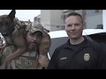 SEAL K9 vs MPD K9