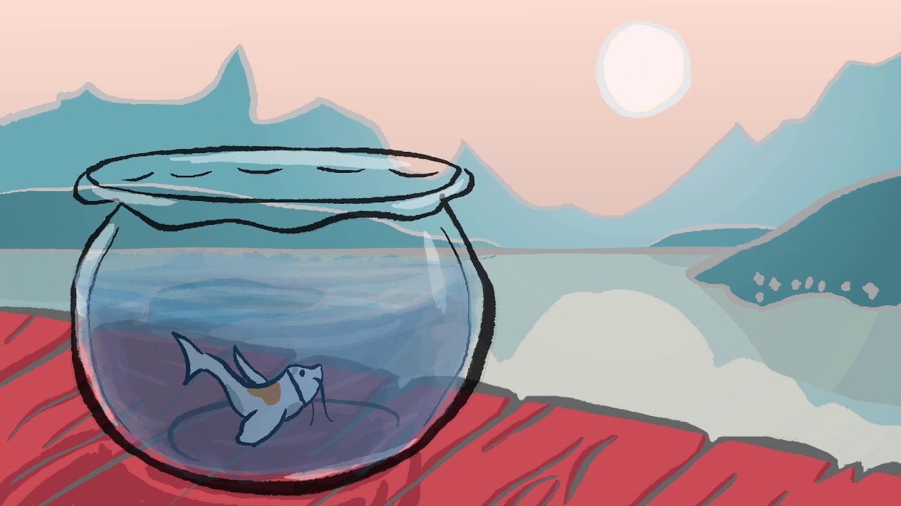 Fishbowl YouTube