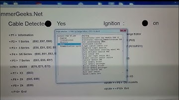 BMW E46 DIAGNOSE EWS No Crank No Start using INPA
