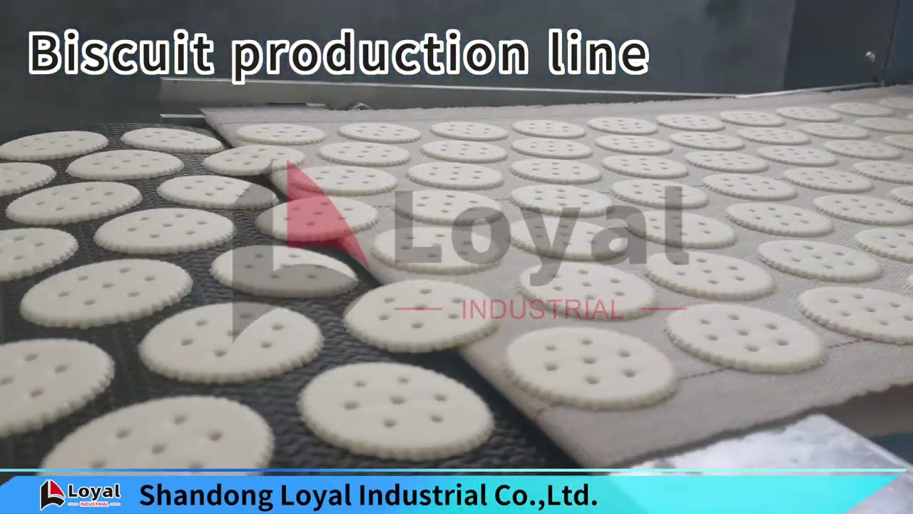Crispy biscuit making machine|hard and soft biscuit production line|whatsapp: +86 18954109821