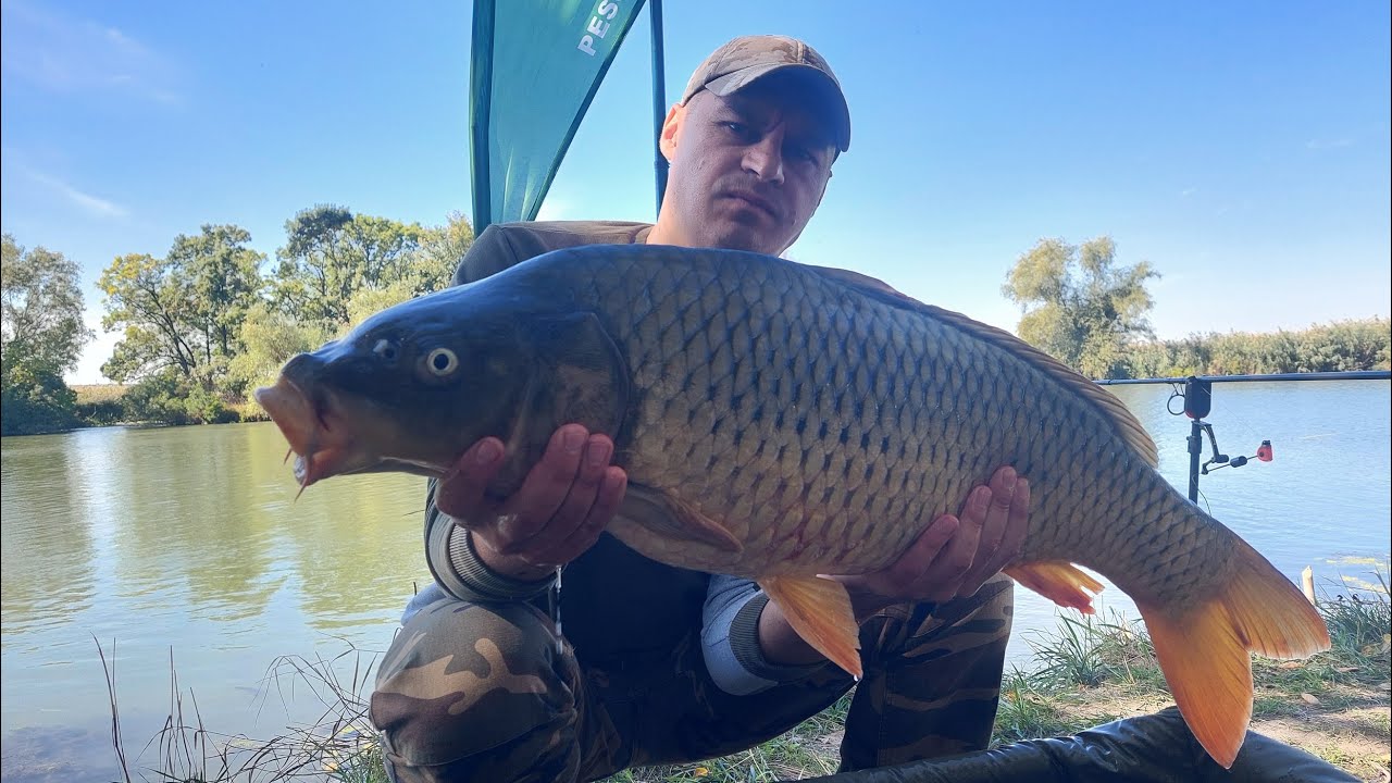 Crapi mari cu cei mai iscusiți pescari de Nistru!!!