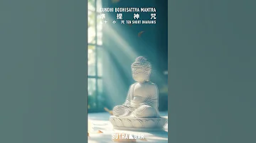 十小咒 準提神咒 Ten Short Dharanis Cundhi Bodhisattva Mantra 