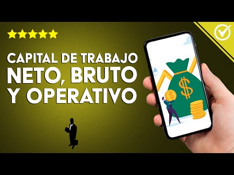 CAPITAL DE TRABAJO neto, bruto y operativo: Qué son, diferencias y ejemplos