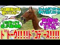 ウマ娘最近初めたけど、むしろ実馬が可愛くて動画ばかり見てる…に対するみんなの反応！【競馬 の反応集】