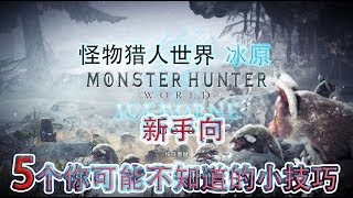 预热篇 新手向 魔物猎人世界 冰原 5个你可能不知道的小技巧/モンスターハンター　ワールド