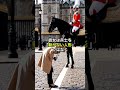 英国衛兵が「日本人」だけに微笑んだ、驚きの理由。