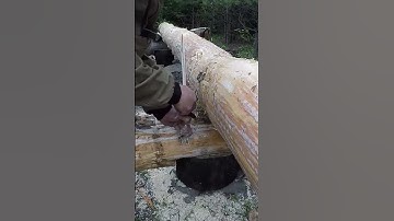 Off grid log cabin built by one person stacking logs alone #shorts