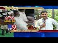 Viral Video: TDP MP's office turns Gambling den?