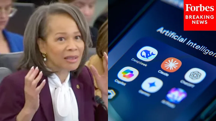 'It's About Smart Or Dumb': Lisa Blunt Rochester Questions Accuracy Of AI Responses