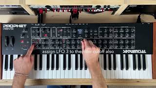 Prophet REV 2 Patch Tutorial - Never Bass