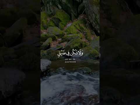 القارئ احمد عبدالرزاق نصر