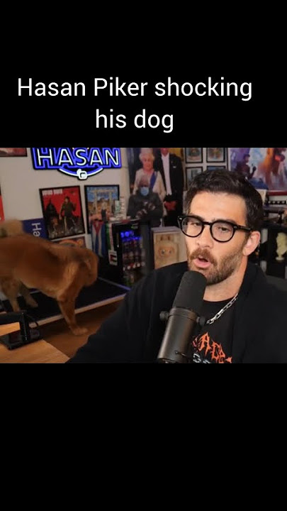 Hasan Piker shocking his dog with shock collar.