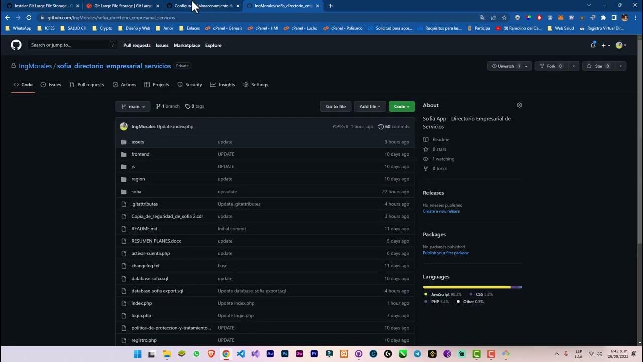 Git Large File Detected Remove