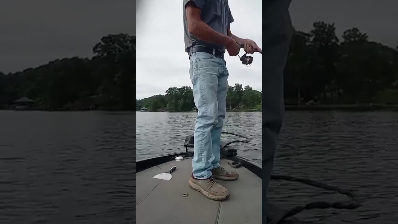 Late August fluke fest. 4lb/5 ounce large mouth caught!