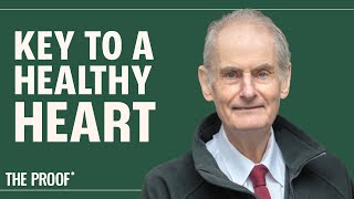 Lower Your Cholesterol With THESE Foods | Dr. David Jenkins  | The Proof Podcast EP 216