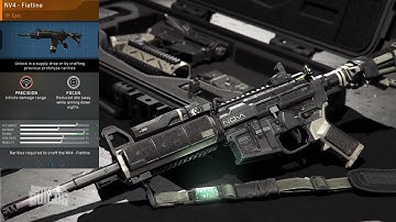 NV4 Flatline - Epic Weapons of Infinite Warfare (Best Class Setup &a Weapon Guide)