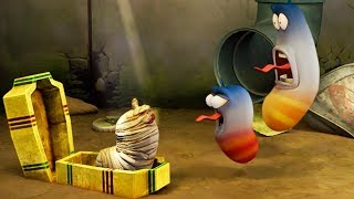 larva the mummy cartoon movie cartoons for children larva cartoon larva official