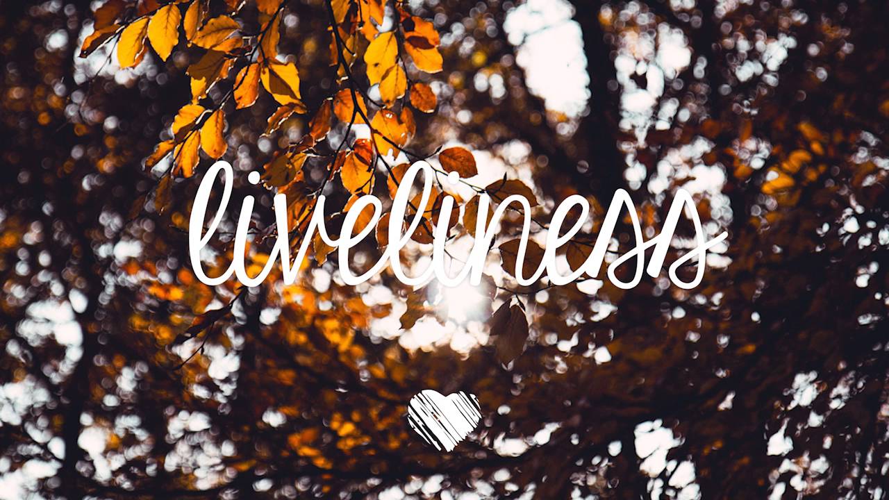 CANVAS Spell It Out YouTube