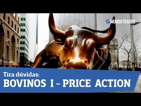 Aula Tira Duvidas - Bovinos I - Price Action - Estudo de Stops