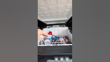 A mom on the go with ICECO APL55 Fridge