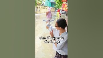 Cách tiết kiệm nước của cánh cụt - câu chuyện thú bông vải Tiệm Tạp Hóa Nhà May