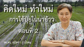 คิดใหม่ ทำใหม่ เรื่องการใช้ปุ๋ยในนาข้าว ตอนที่ 2 : การใช้ปุ๋ยในนาข้าว