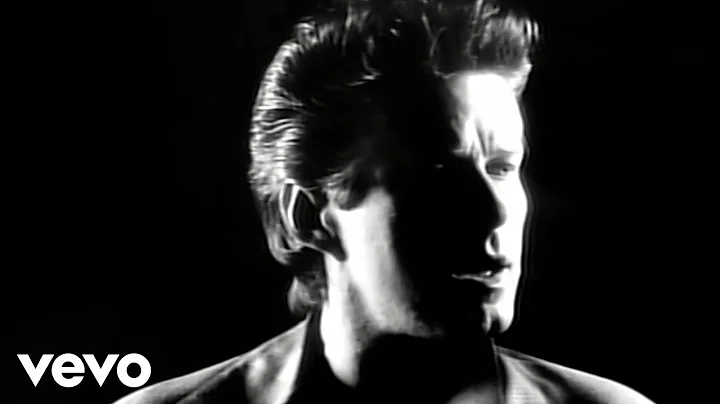 Don Henley - Not Enough Love In The World (Officia...