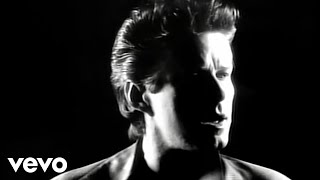 Don Henley - Not Enough Love In The World