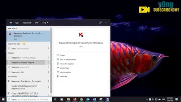 Full Scan and Update Kaspersky Endpoint Security 11